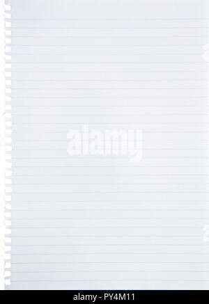 Blank lined white paper sheet torn out from notebook background with blue lines, margin and holes with copy space - isolated on white Stock Photo
