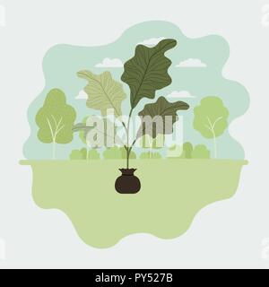tree plant cultivated in sack Stock Vector Image & Art - Alamy