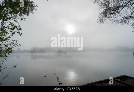 Sun over misty lake Stock Photo