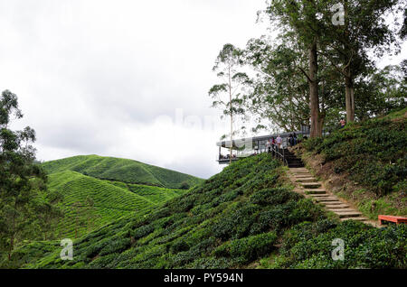 Cameron Highlands, Malaysia - 30 December 2016: Sungai Palas BOH Tea House, one of the most visited tea house by tourists in Cameron Highland, Malaysi Stock Photo