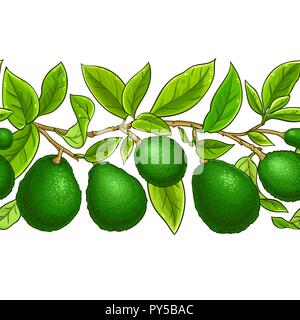 avocado vector pattern on white background Stock Vector