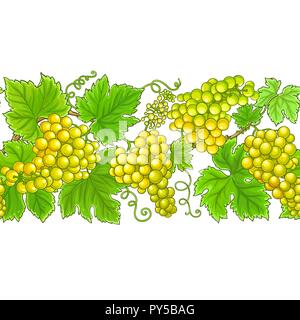 grapes vector horizontal pattern on white background Stock Vector