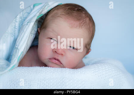 Newborn baby laying on tummy looking up at the camera with a blanket on his head. Stock Photo