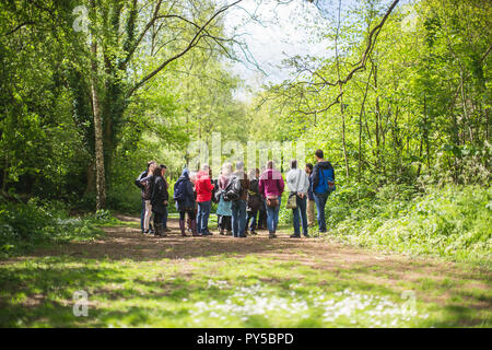 A group of people take part in a foraging workshop on the Blaise Castle Estate, Bristol, UK, as part of the Food Connection Festival. Stock Photo