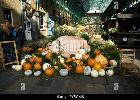 Halloween pumpkins, display at Covent Garden, London, UK. Stock Photo