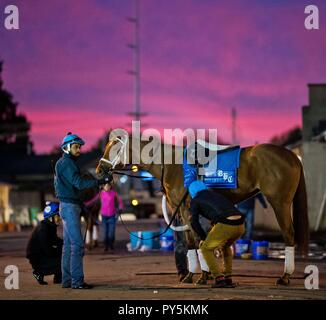 Louisville, KY, USA. 25th Oct, 2034. October 25, 2018 : Scenes from the backside at the sun rises at Churchill Downs as Breeders' Cup approaches on October 25, 2018 in Louisville, Kentucky. Scott Serio/Eclipse Sportswire/CSM/Alamy Live News Stock Photo