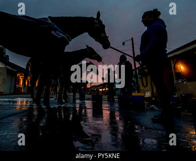 Louisville, KY, USA. 25th Oct, 2018. October 25, 2018 : Scenes from the backside at the sun rises at Churchill Downs as Breeders' Cup approaches on October 25, 2018 in Louisville, Kentucky. Scott Serio/Eclipse Sportswire/CSM/Alamy Live News Stock Photo