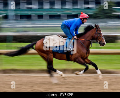 Louisville, KY, USA. 25th Oct, 2034. October 25, 2018 : Toast of New York, trained by Jamie Osborne, exercises in preparation for the Breeders' Cup Classic at Churchill Downs on October 25, 2018 in Louisville, Kentucky. Scott Serio/Eclipse Sportswire/CSM/Alamy Live News Stock Photo