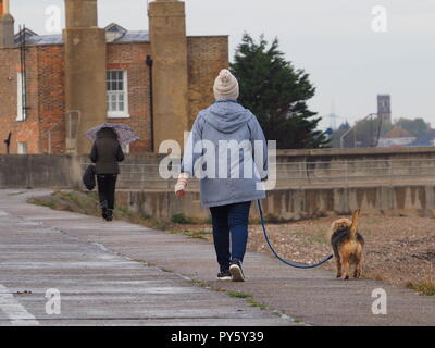 Sheerness, Kent, UK. 26th Oct, 2026. Slimer's Halloween House in ...