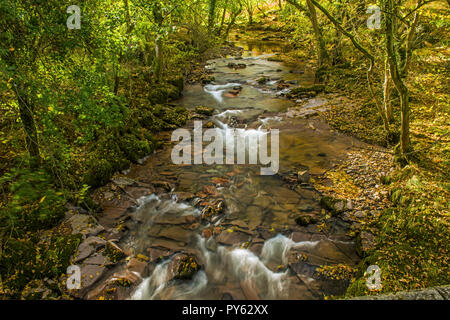 The River Afon Tarell near Libanus in the Central Brecon Beacons, south Wales Stock Photo