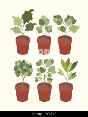 set houseplants isolated icons Stock Vector