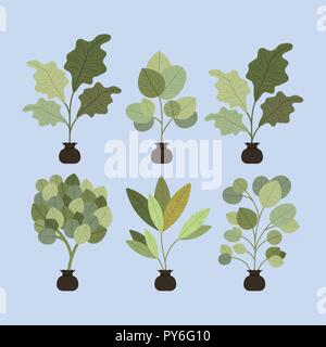 tree plant cultivated in sack Stock Vector Image & Art - Alamy