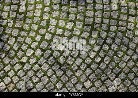 Old paving blocks covered with green moss texture Stock Photo