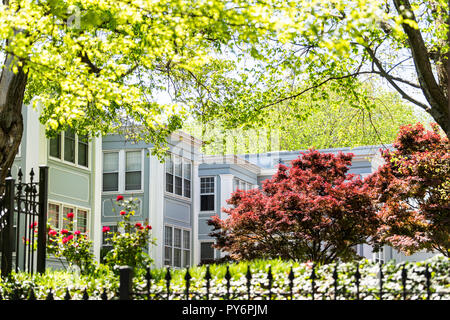 Colorful red Japanese maple trees in spring, springtime in blue apartment flat housing complex of residential neighborhood park, homes, houses with ga Stock Photo