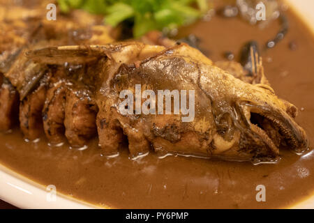 Hulubuir Seafood Cuisine Close-up Stock Photo