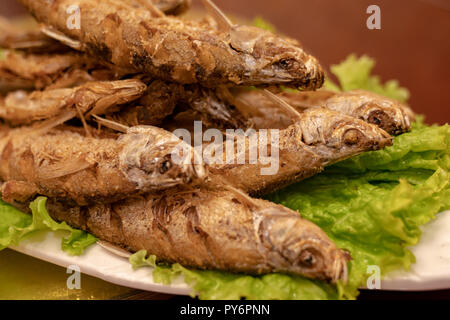 Hulubuir Seafood Cuisine Close-up Stock Photo