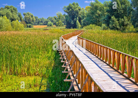 Kopacki Rit marshes nature park wooden boardwalk view, Baranja region of Croatia Stock Photo