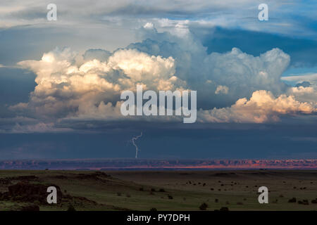 Scenic desert landscape and thunderstorm cumulonimbus cloud with lightning at sunset in northern Arizona Stock Photo