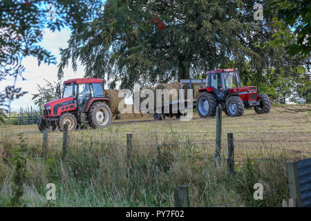 Haymaking in an English rural field, Staffordshire, England, UK Stock Photo