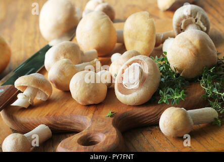 Raw Gypsy mushroom or Cortinarius caperatus mushrooms redy for cooking. Composition with wild mushrooms, herbs, onion Stock Photo