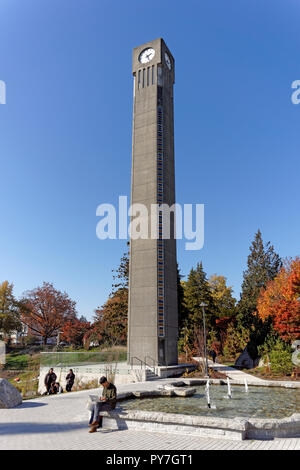 Asian student using a laptop computer with the Ladner Clock Tower in background, University of British Columbia, Vancouver, BC, Canada Stock Photo