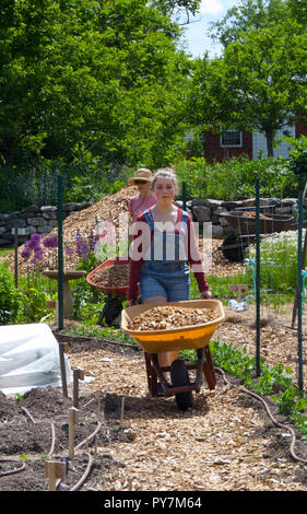 Young woman pushing wheelbarrow Stock Photo