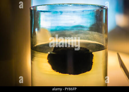 Pumice stone is floating on the water. Pumice has an average porosity of 90%, and initially floats on water. Pumice varies in density according to the Stock Photo