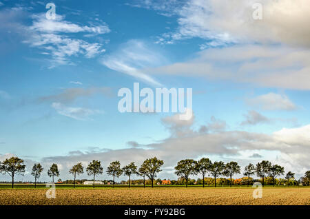 Predominantly blue sky with various kinds of clouds over a flat landscape with trees, fields and farms in Noordoostpolder (North East Polder), the Net Stock Photo