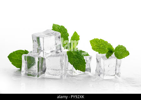 mint and ice cubes isolated on white background Stock Photo