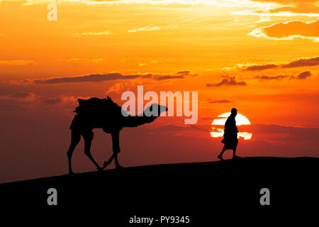 Walking with camel through Thar Desert in India, Show silhouette and dramatic sky Stock Photo