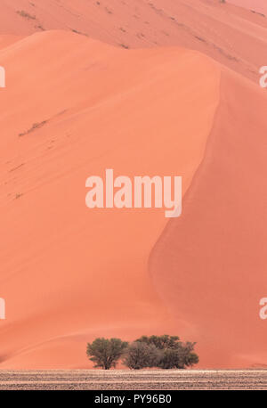 Namibia sand dunes in the Namib desert  - Landscape at Sossusvlei, Namibia Africa Stock Photo
