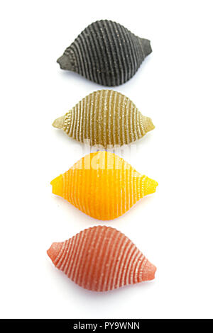 conchiglioni pasta shells dried uncooked Stock Photo - Alamy