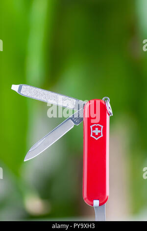 Small Swiss army knife close up isolated against blurry green backdrop Stock Photo
