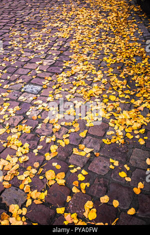 Yellow fallen autumn leaves on brick ground Stock Photo