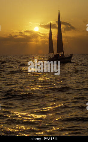 Joyster, a 36ft Oyster sailing yacht sails east into the dawn off the coast of Holland Stock Photo