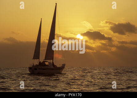 Joyster, a 36ft Oyster sailing yacht sails east into the dawn off the coast of Holland Stock Photo