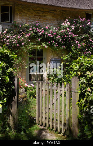 gateway leading into cottage with climbing roses around windows in English Garden,England,Europe Stock Photo