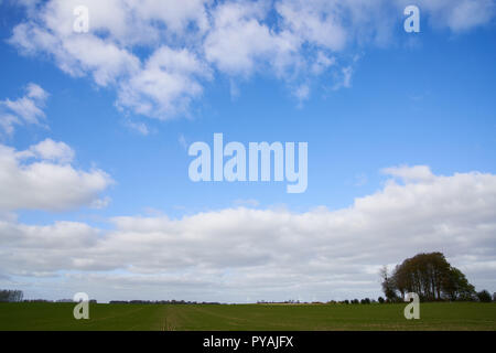 The battlefield of Agincourt today, now a farmer's field. Stock Photo