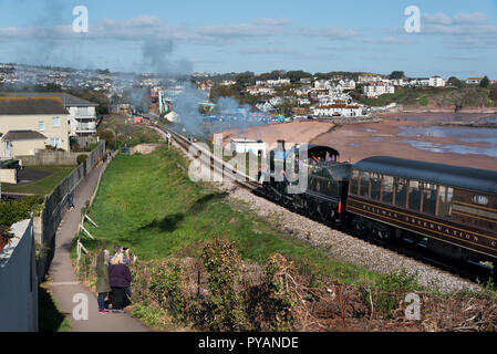 Locomotive Lydham Manor hauls train past Goodrington Sands on the  Dartmouth Steam Railway, Paignton, Devon, UK Stock Photo