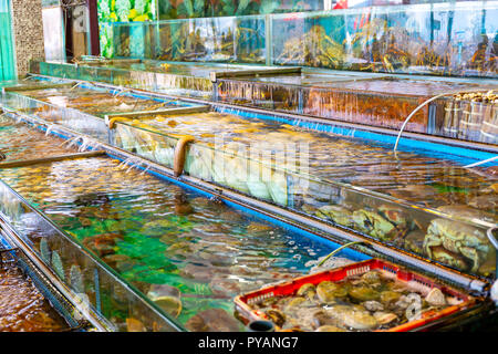 Seafood market fish tank in Hong Kong Stock Photo - Alamy