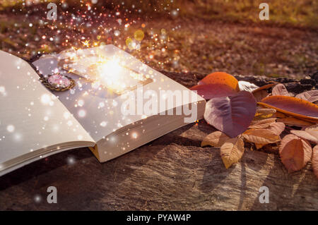 concept image of magic flowing and sparkling from bookmark of book laying on wooden log Stock Photo