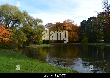 The lake and ducks inside English Garden in Munich,  Daylight showing the colorful trees during autumn season Stock Photo