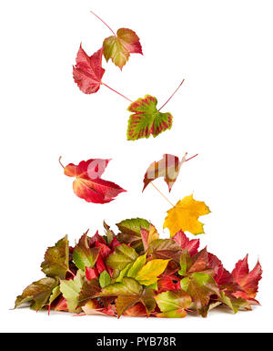 colorful autumn falling flying down on fall pile of leaves foliage seasonal concept on white isolated background Stock Photo