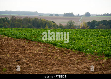 A view from the Leipzig Salient looking across where the front line was on July 1 1916 at the Somme in France Stock Photo