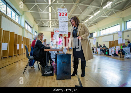 (181026) -- DUBLIN, Oct. 26, 2018 (Xinhua) -- Mary Lou McDonald, President of Irish Sinn Fein party, casts her ballot at a polling station in Dublin, Ireland, Oct. 26, 2018. Ireland's presidential election kicked off here on Friday morning as scheduled, local media RTE reported. (Xinhua) Stock Photo