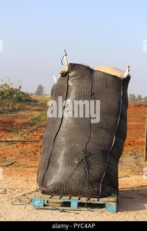 Black Bulk Bag Full of Plastic Sheets. Plastic sheets waste in a huge bulk bag on a wooden platform in the field. Agricultural plastic usage. Stock Photo