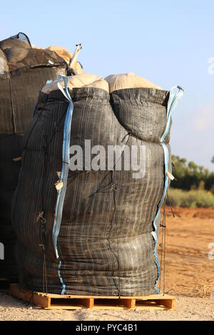 Black Bulk Bag Full of Used Plastic Sheets. Plastic sheets waste in huge bulk bag on wooden platforms in the field. Agricultural plastic usage. Stock Photo