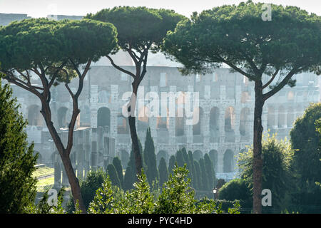 Early morning view  across The Roman Forum  towards the Colosseum,  Rome, Italy. Stock Photo