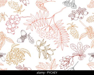 Seamless pattern of colorful hand drawn sketch style autumn plants isolated on white background. Vector illustration. Stock Vector