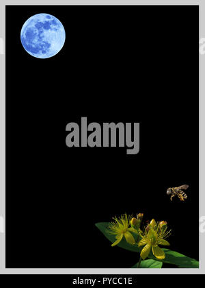 Luna, Bee and Flower Minimalist Poster v9.jpg - PYCC25